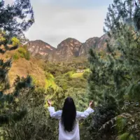 Encuentro de Armonía: Yoga, Meditación y Trabajo Interior Profundo