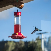 1 Noche en Vientos del Dorado