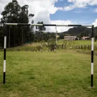 Canchas De Fútbol y Voleibol