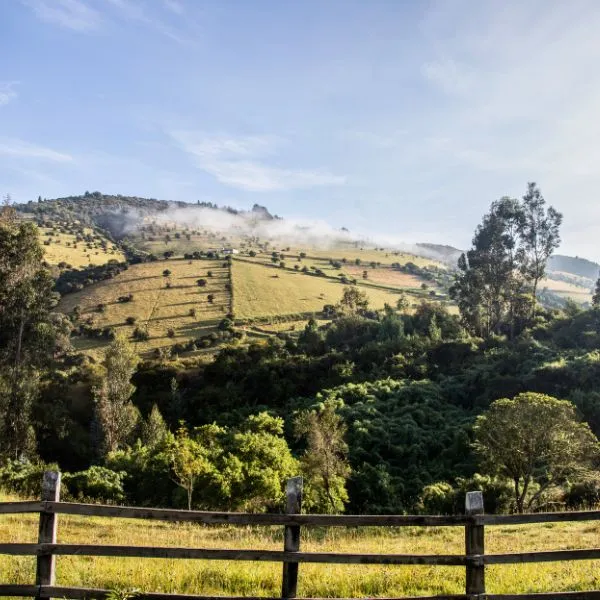 Pet Friendly & Zonas Verdes