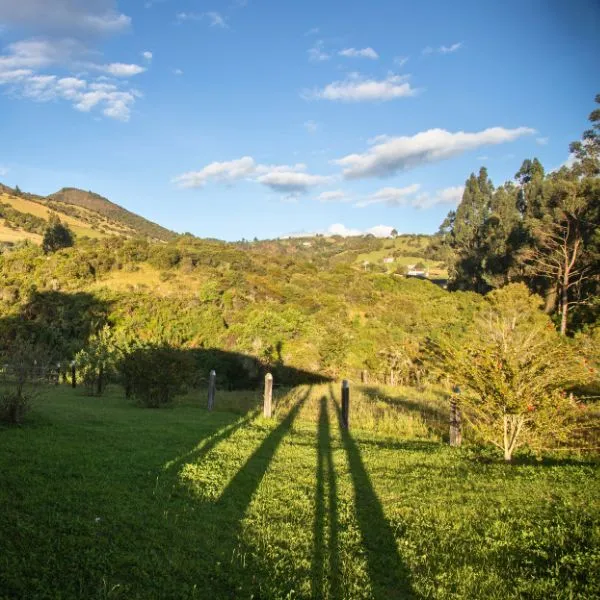 Pet Friendly & Zonas Verdes