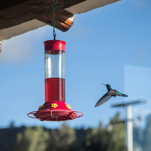 2 noches en Vientos del Dorado