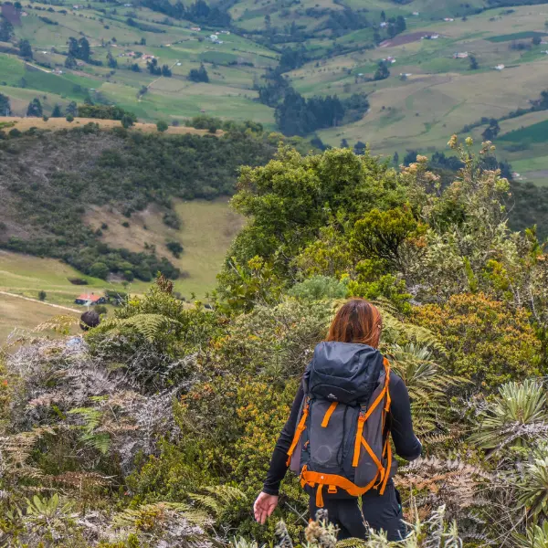 imagen Conoce el Territorio