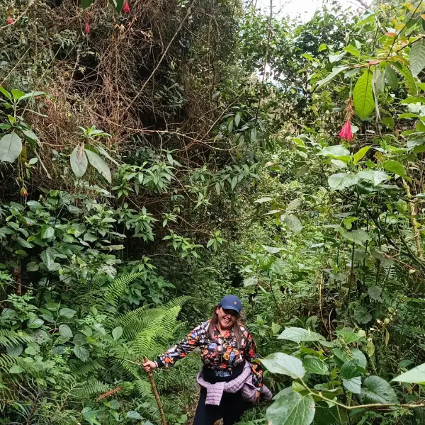 Hike Cerro de las 3 Viejas