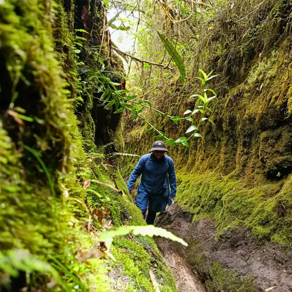 Hike Cerro de las 3 Viejas